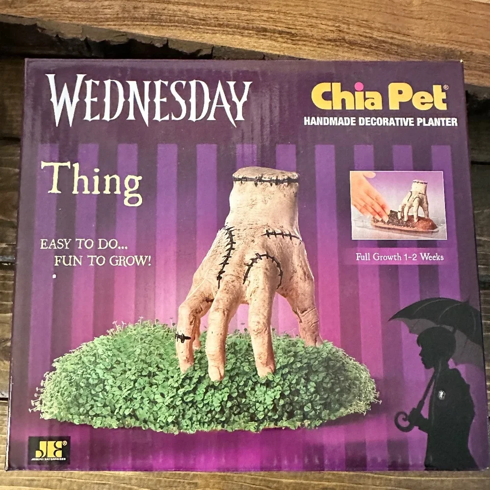 Brand New “Thing” Chia Pet - Picture 1 of 1